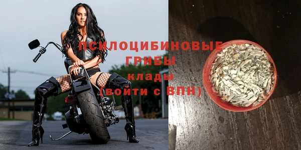 амф Балахна