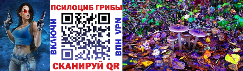 купить  цена  это формула  Псилоцибиновые грибы ЛСД  Кировск 